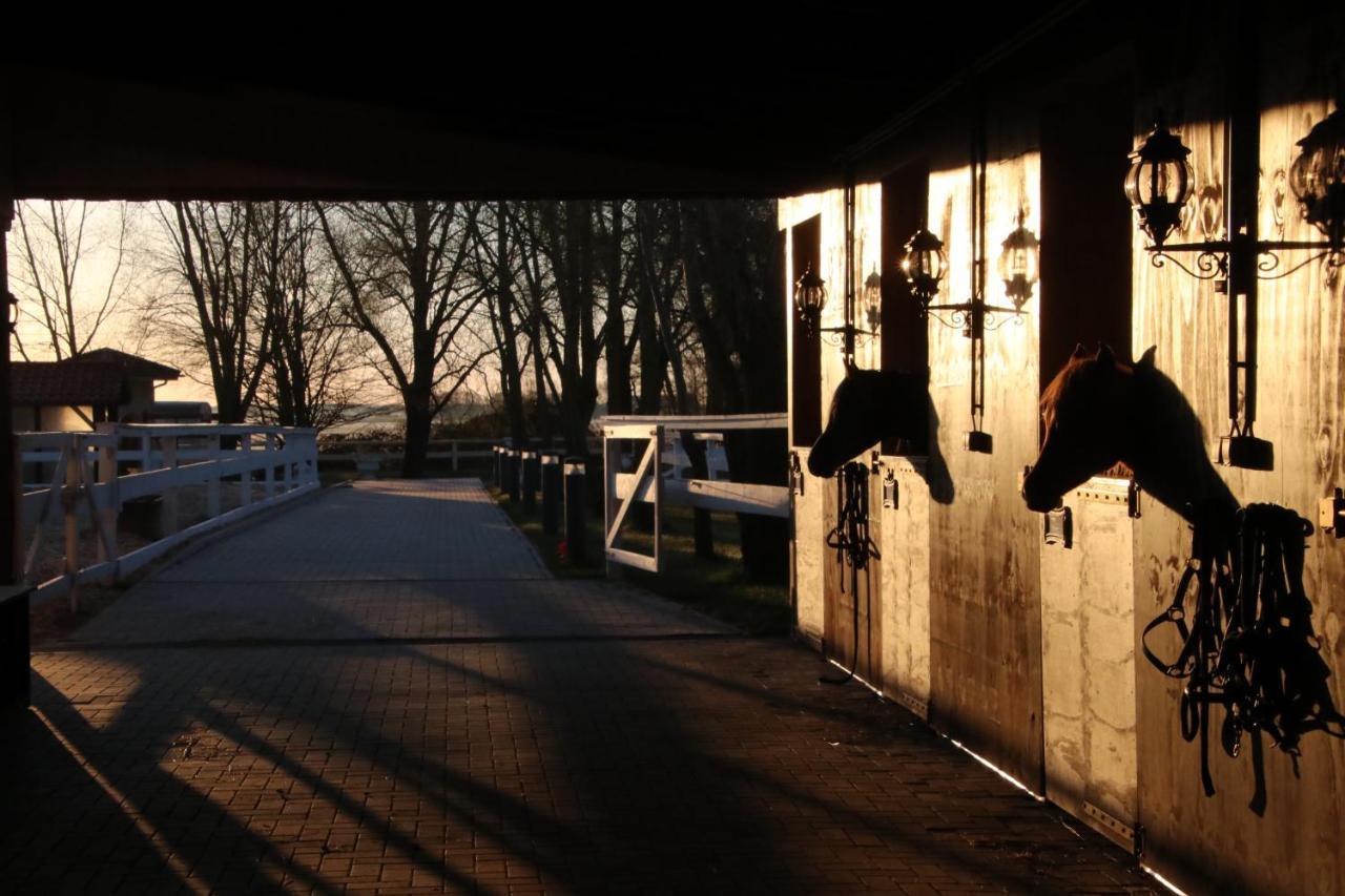 Luxus Rügen Residenz Kubitzer Bodden Aparthotel